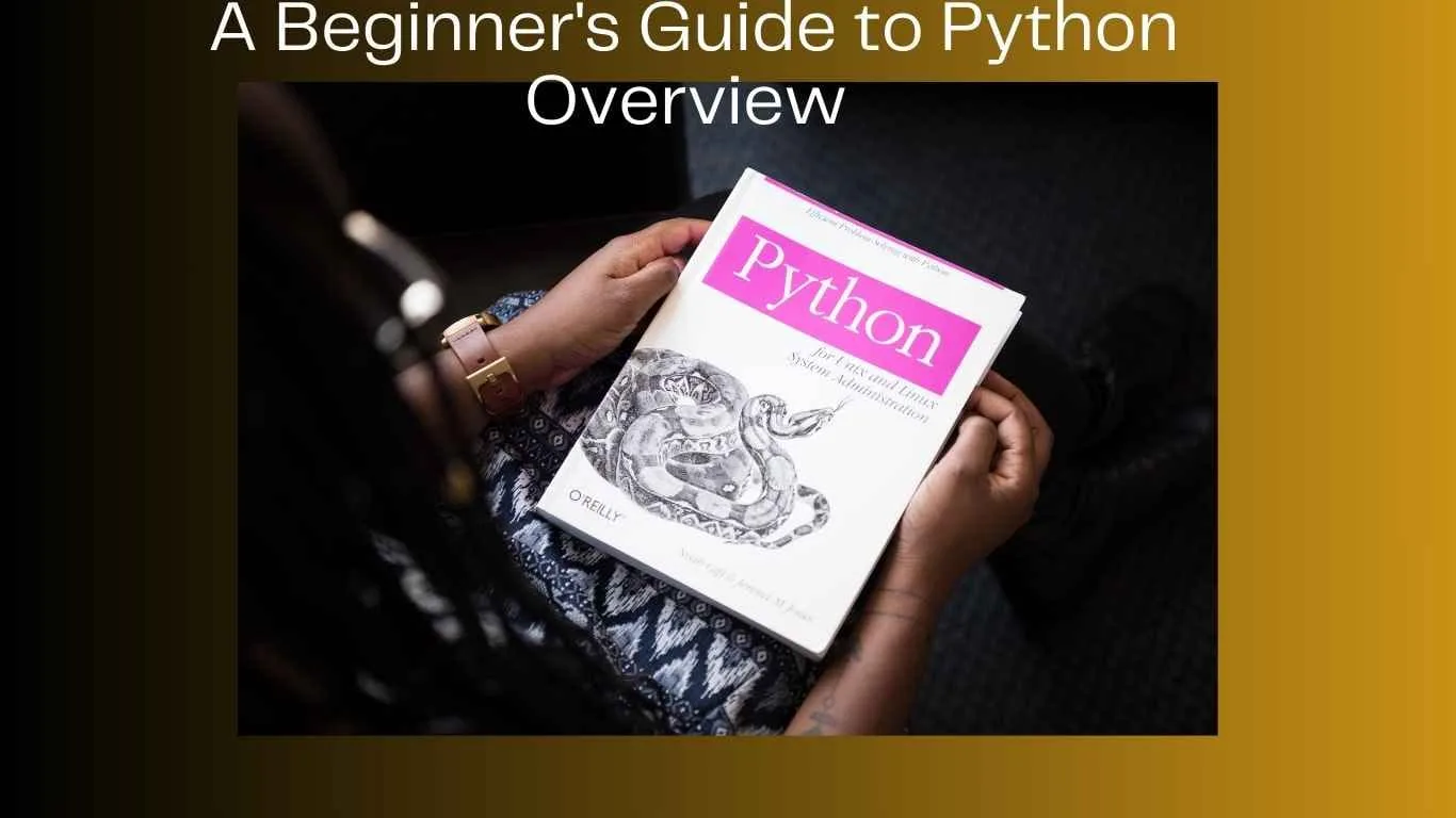 A Beginner's Guide to Python Overview in 2025